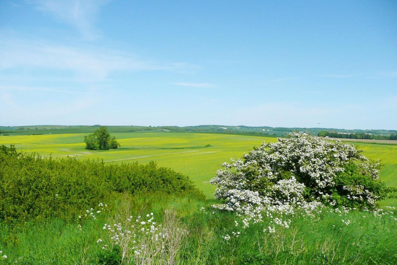 Ferienresidenz Zwei Bodden Fewo2-8 - Balkon, Sauna, Kamin Lietzow ภายนอก รูปภาพ